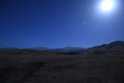 DSC_2166 (Large).JPG